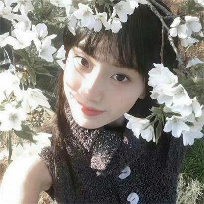 影子军队